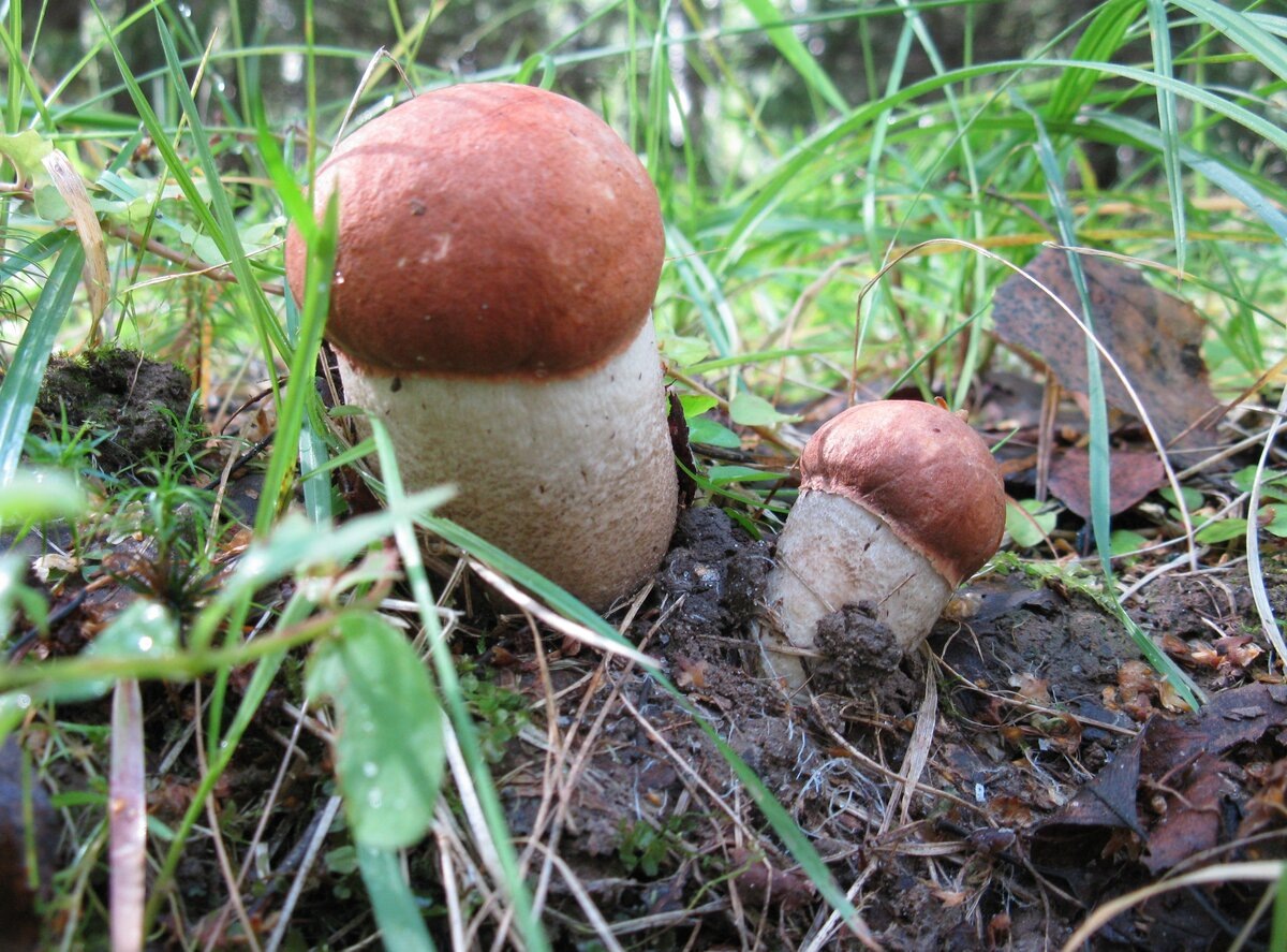 Фото автора. Сегодня.