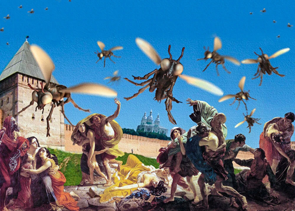 Взято из открытых источников