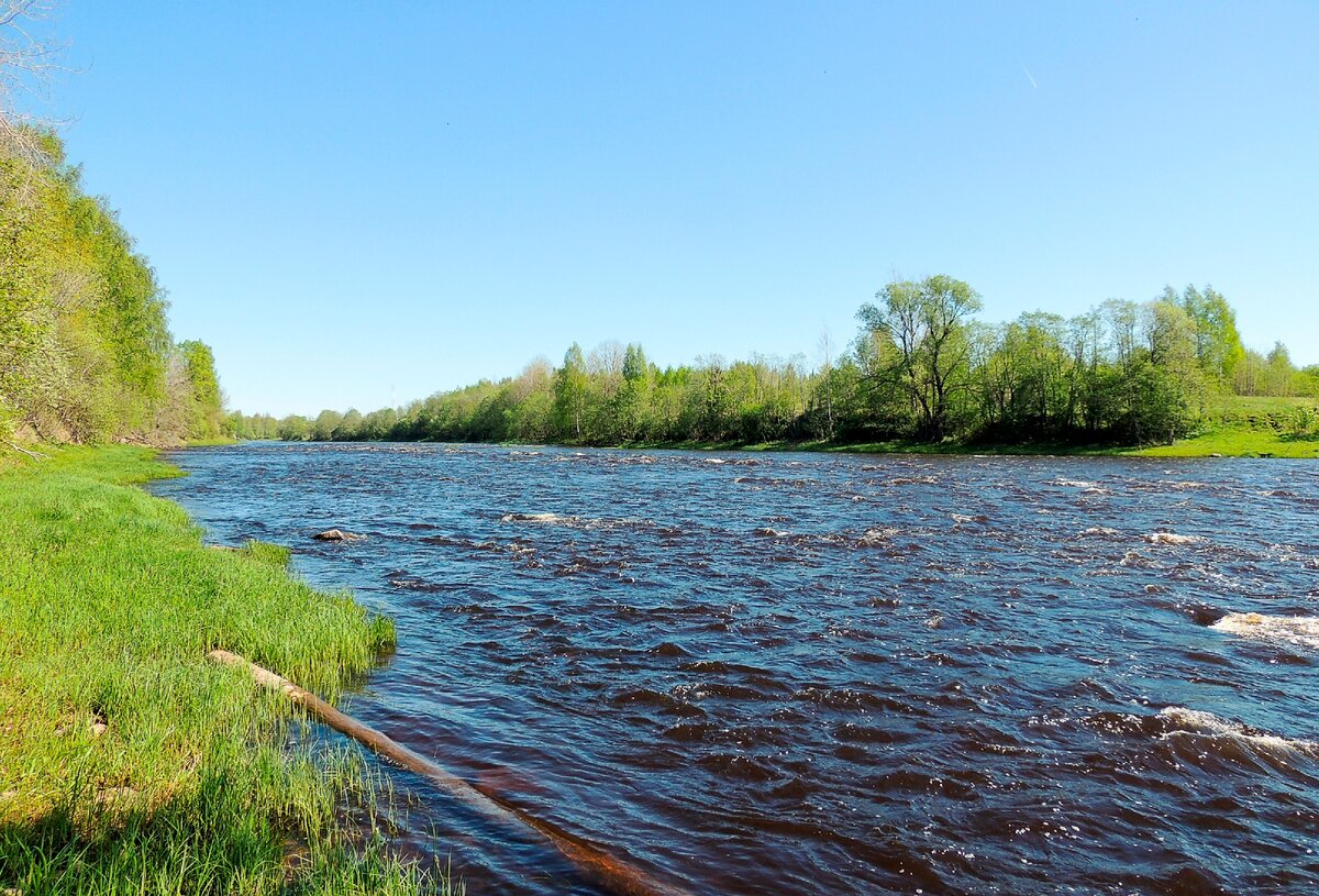 Водный сплав по реке Мста от п. Мста до г. Великий Новгород (длина 422 км) Tripm