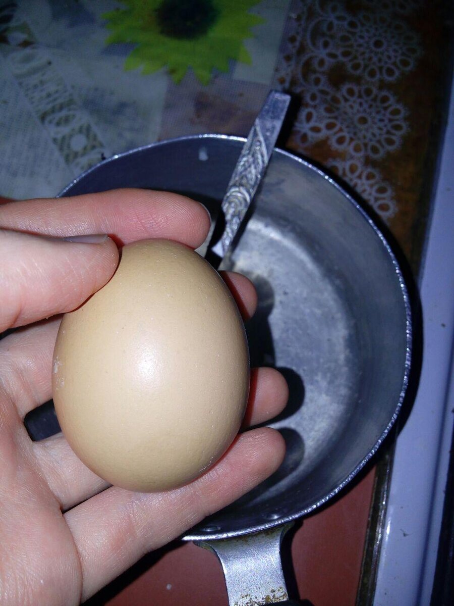 Яйцо без желтка