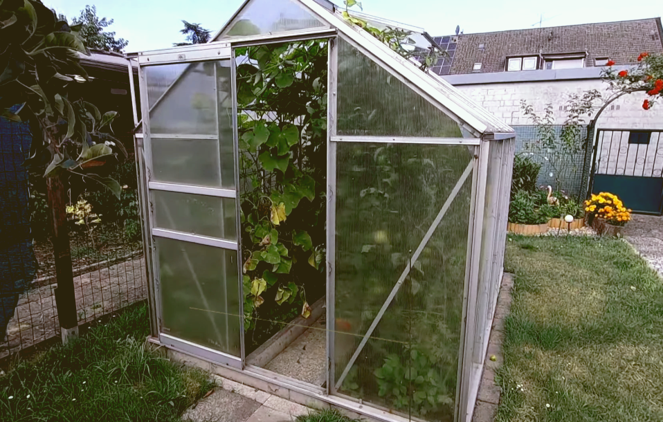 Источник: yandex.ru