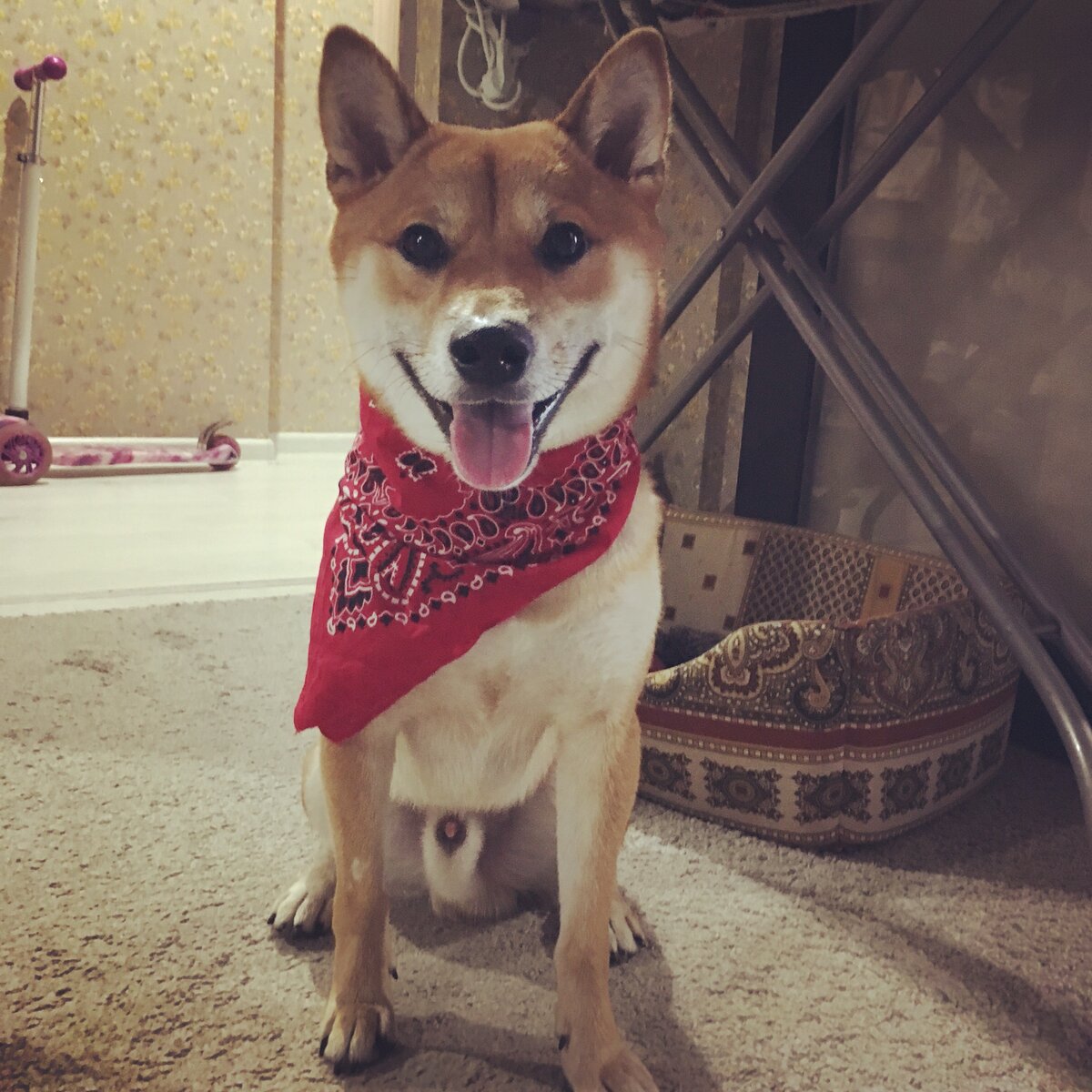 Тимо, как всегда, доволен жизнью