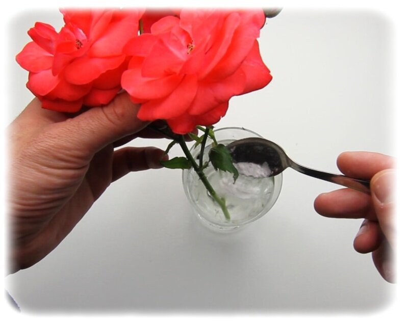 Фото из открытого источника