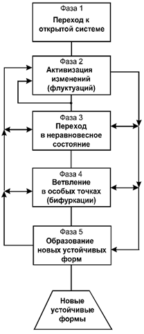 Рис. 2.  Состав и связи фаз процесса самоорганизации