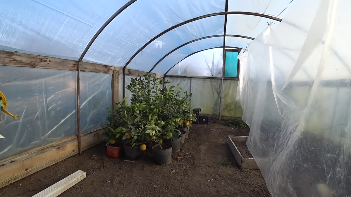 теплица на Кубани