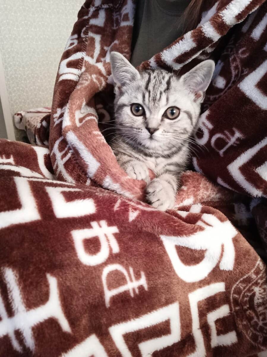 Напишите в комментариях свою любимую книгу