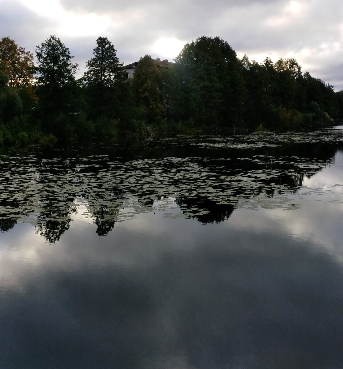 Дома Введенского поселка на берегу озера