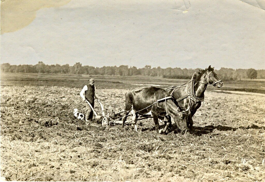 1907 г.