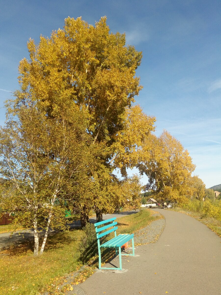 фото сделано автором в г.Абаза Республики Хакасия