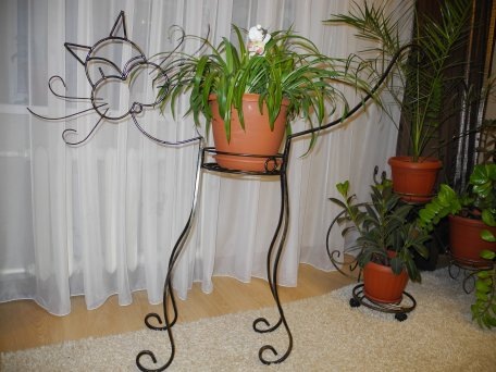 как Вам такая идея? Котик !