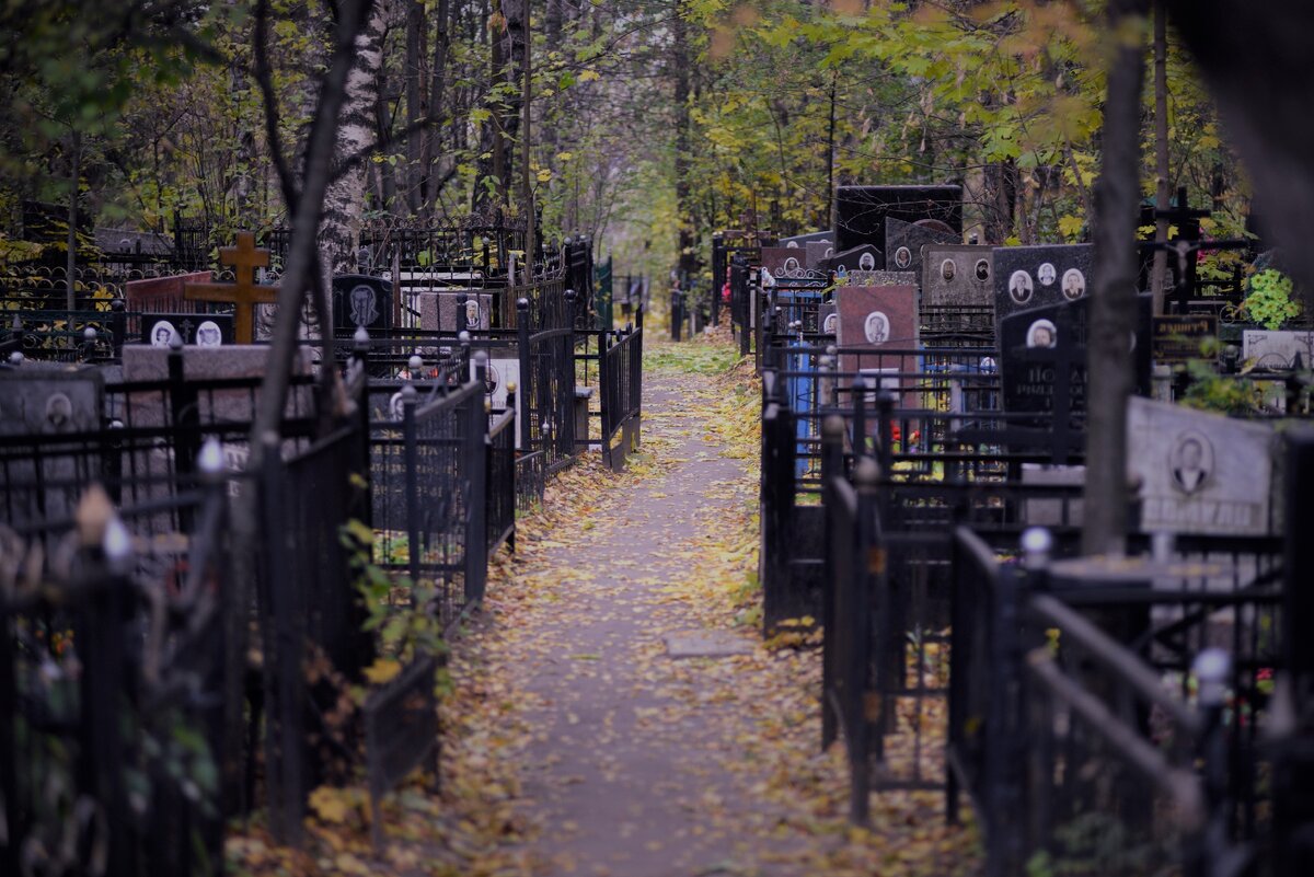 Cemetery Prazeres кладбище