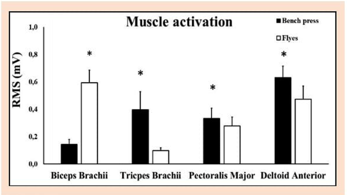 Слева направо: бицепсы, трицепсы, большие грудные мышцы и передние дельты. Белые столбики отражают уровень активации в разведениях гантелей, чёрные - в жиме лёжа.
