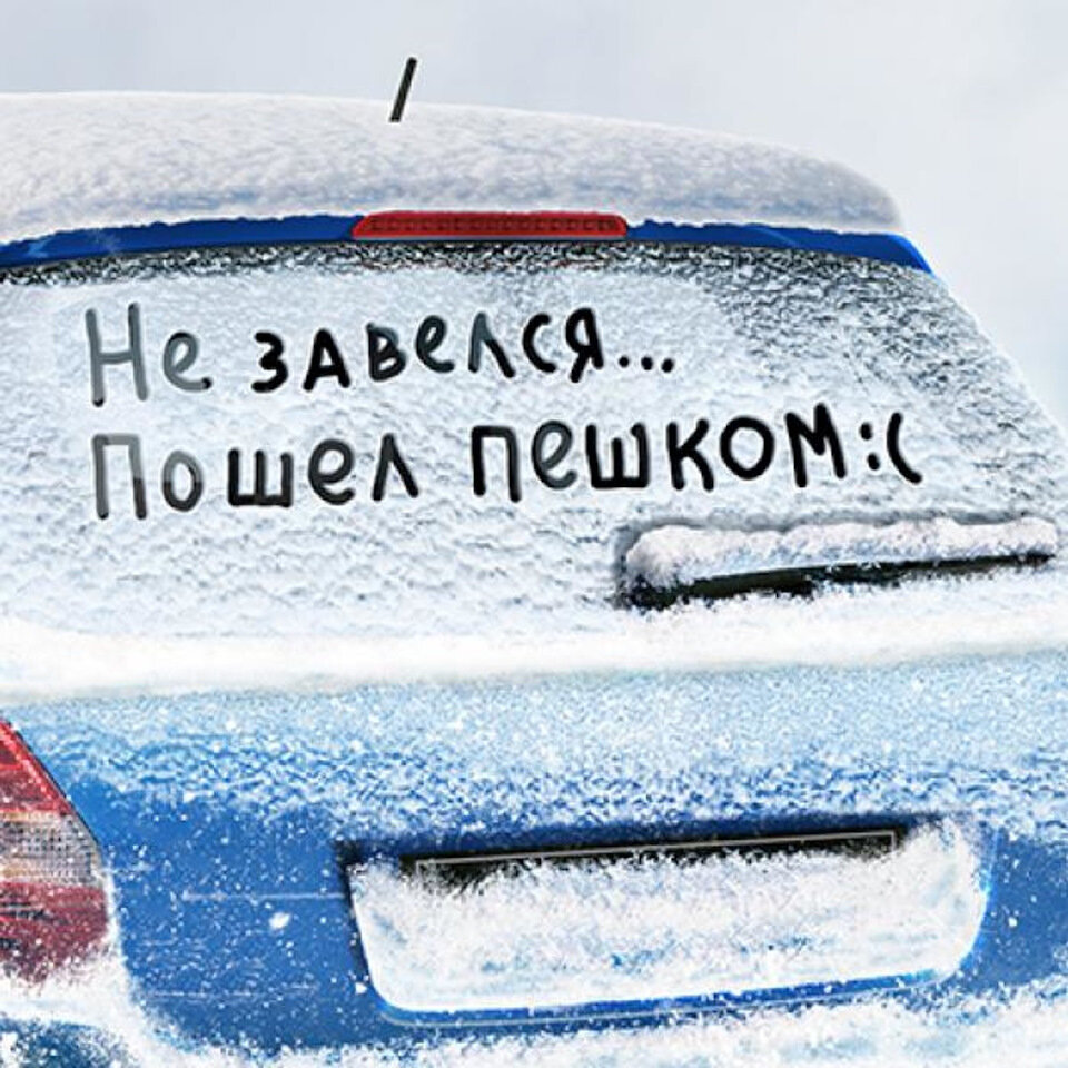 Фото с известного источника Яндекс картинки