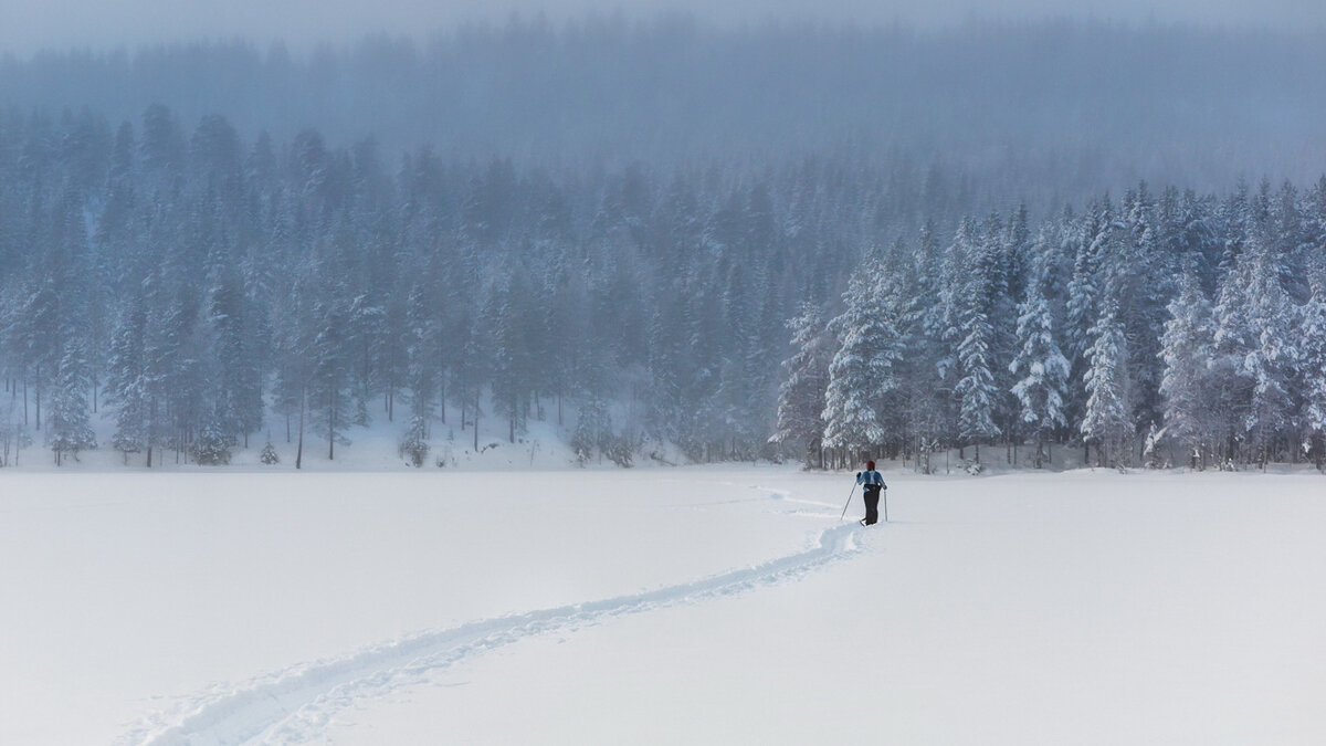 картинка с интернет