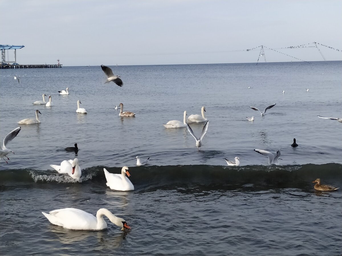 Центральный пляж Анапы в декабре
