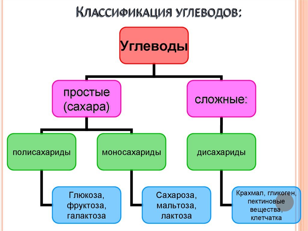 На какие группы делятся углеводы примеры