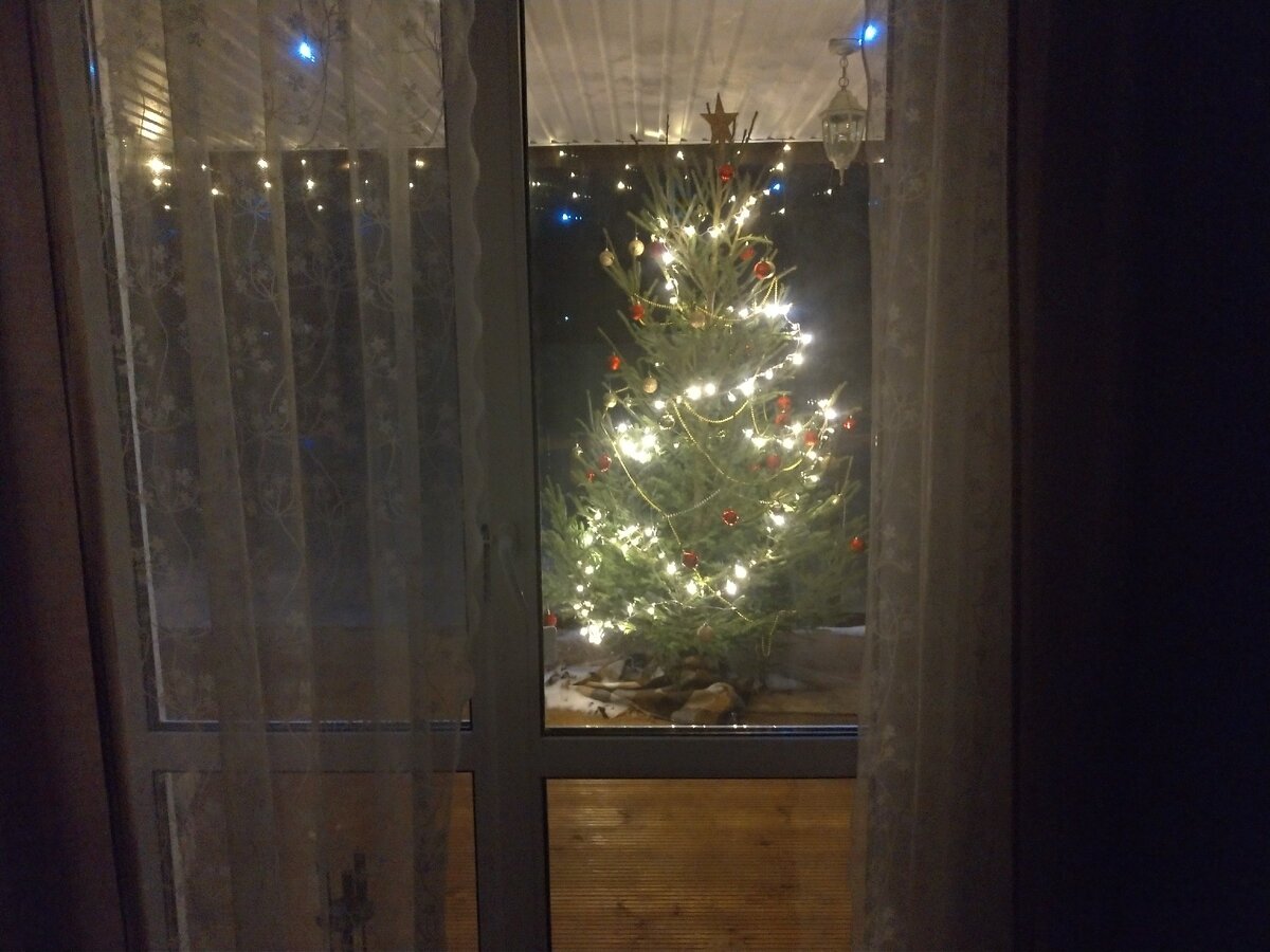 Вид из гостиной.