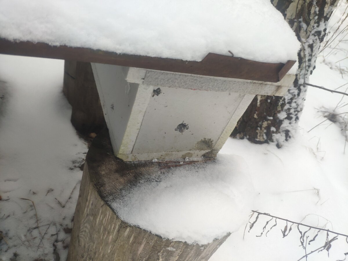 Мой нуклеус