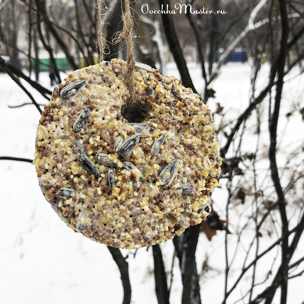 Кормушка для птиц: спасение пернатых в холода