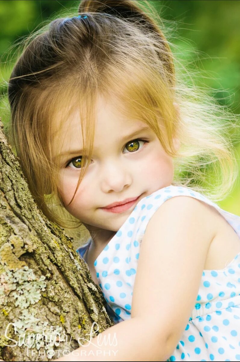 Яндекс картинки