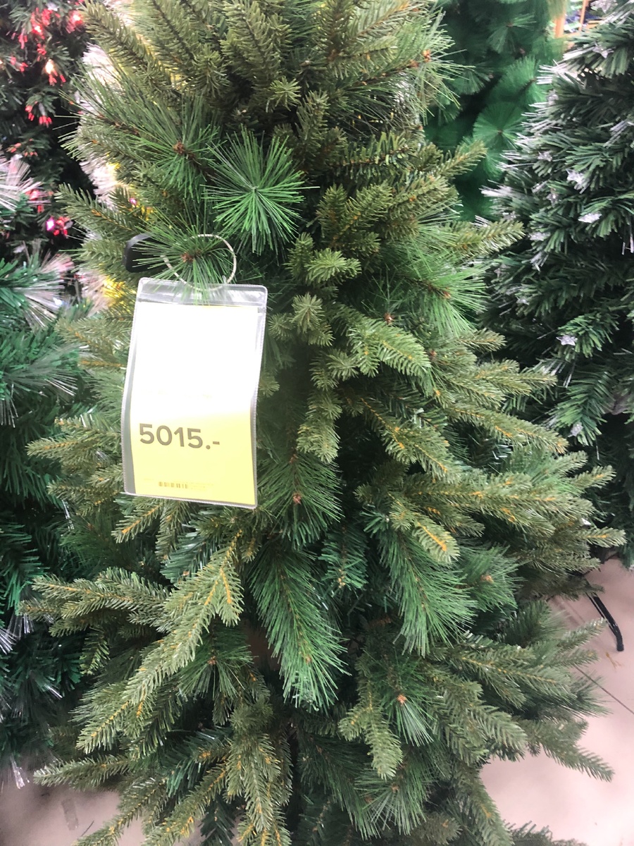 20 декабря