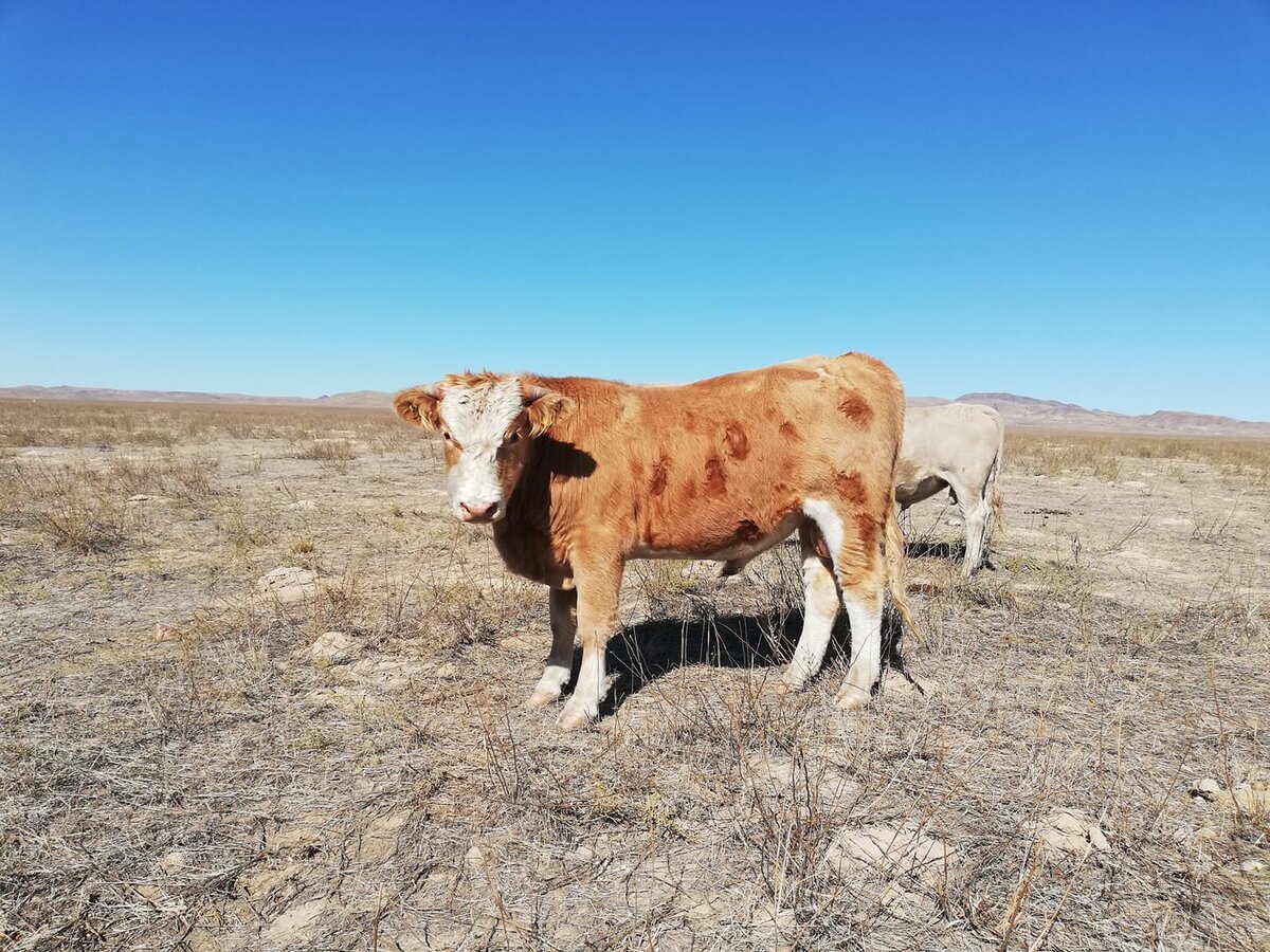 где для нас вода?