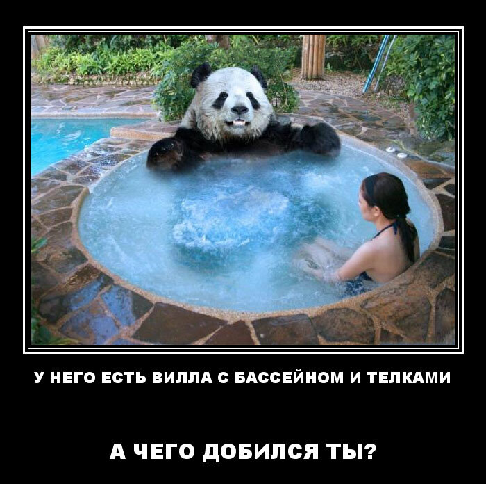 источник Яндекс картинки, демотиватор создан на www.zona.ru