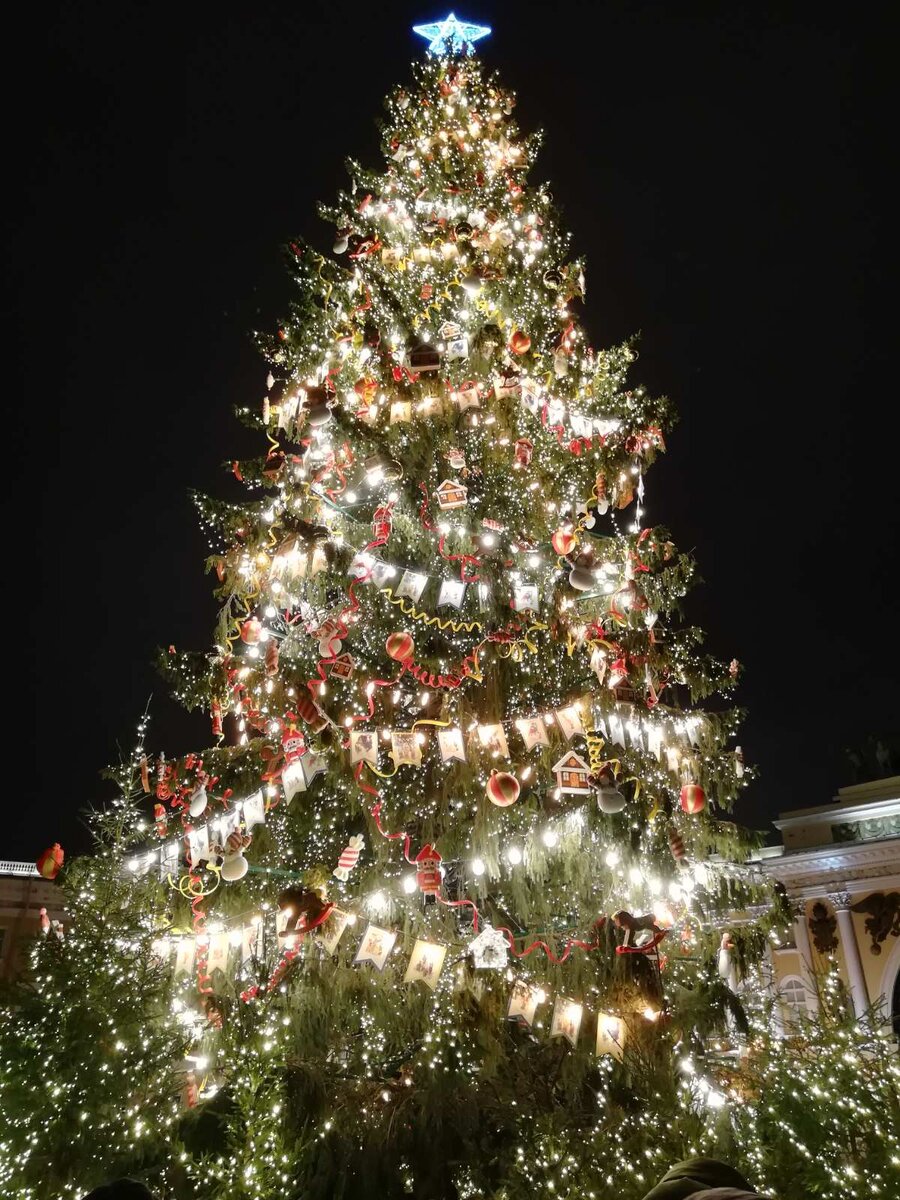 Главная новогодняя красавица Санкт-Петербурга