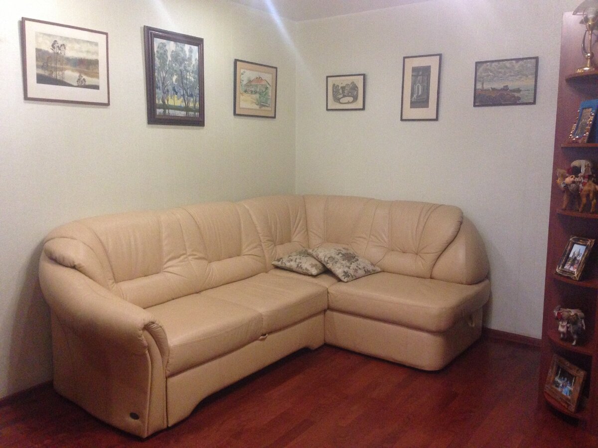 Куда звонить, если кошка застряла в диване 