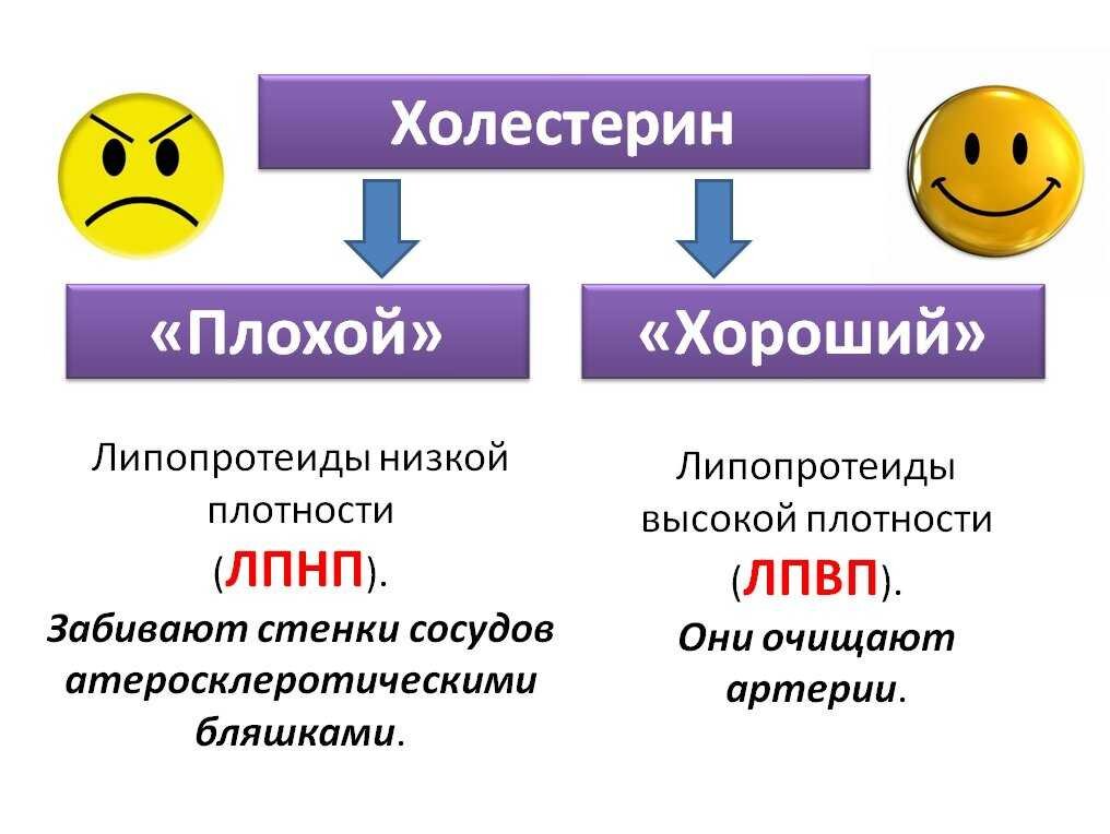 Назови плохие качества. Хороший холестерин. Плохой и хороший холестерин. Липопротеиды высокой и низкой плотности. Хорошие и плохие липопротеиды.