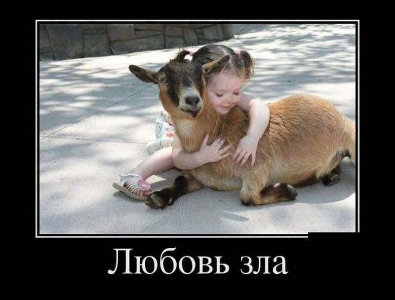 Соня в варгея влюбилась!