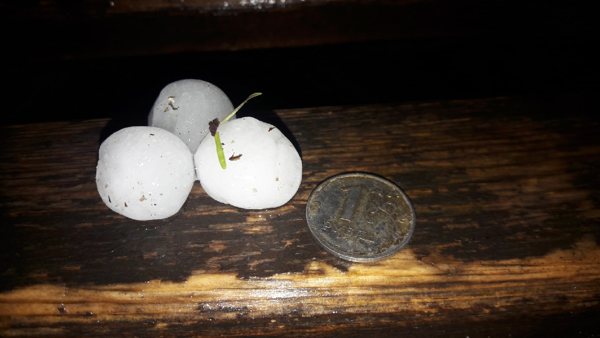 Градины в Сергиевом-Посаде. Источник: https://vk.com/sergiev_posad