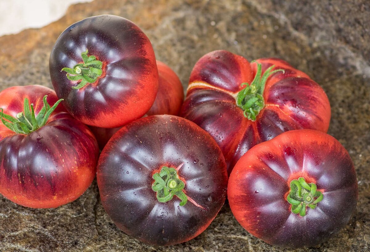 Аметистовая драгоценность томат отзывы