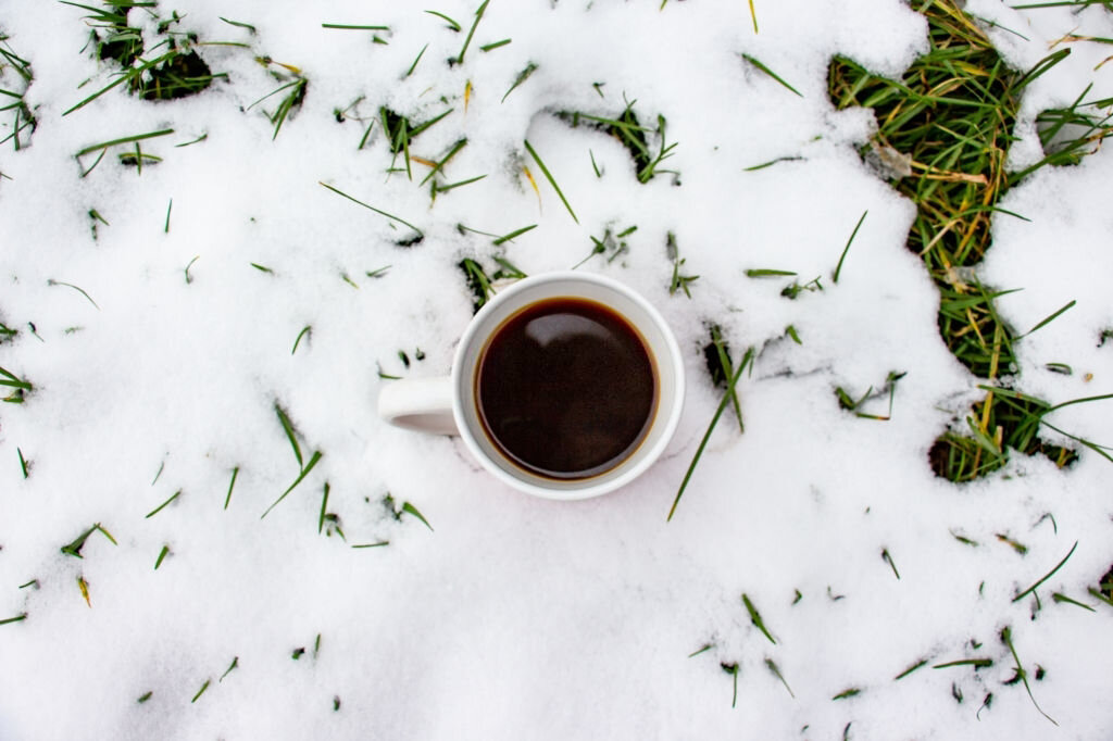 В 18-м веке люди считали, что разбавление чая холодной водой является колдовским ритуалом.