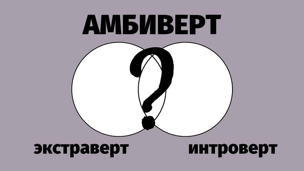 Тест на интроверта и экстраверта амбиверт. Амбиверт. Интроверты и экстраверты и амбиверты. Экстраверт интроверт и амбоверт. Я амбиверт.