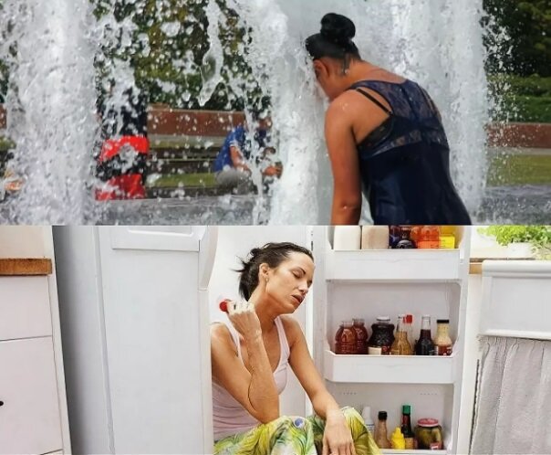 фото из сети