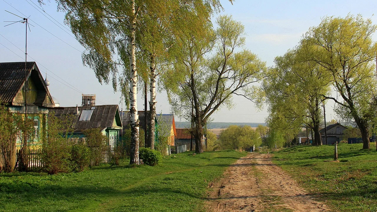 Деревня деревеньки Калужская область. Деревня Шангиничи. Деревня деревенька Тверская область. Деревня городок Владимирская область.