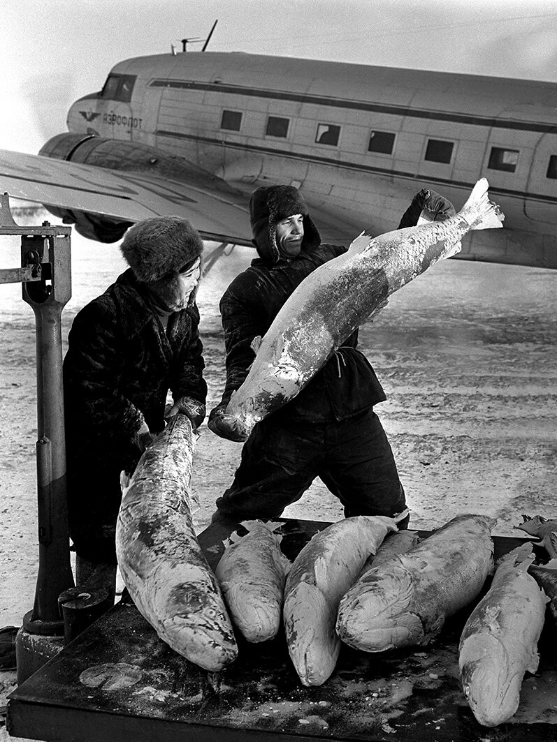 Рыба Севера.Фото Эдгара Брюханенко