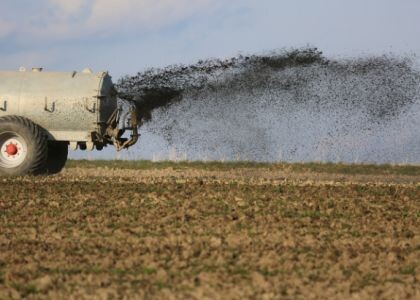 Молодечненцы жалуются на неприятный запах в городе. Что ответил центр гигиены