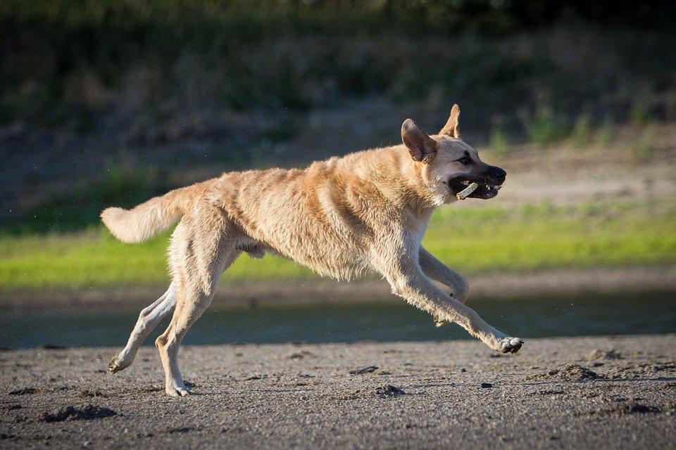 фото взято из открытых источников