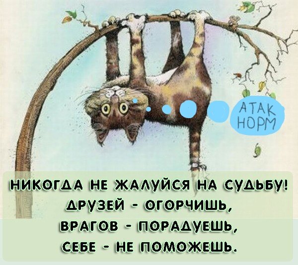 картинка свободна в доступе