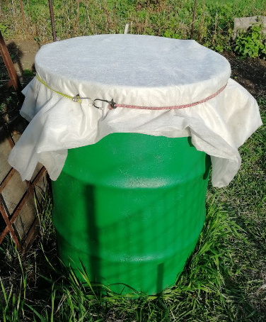 Парник из бочки, фото автора