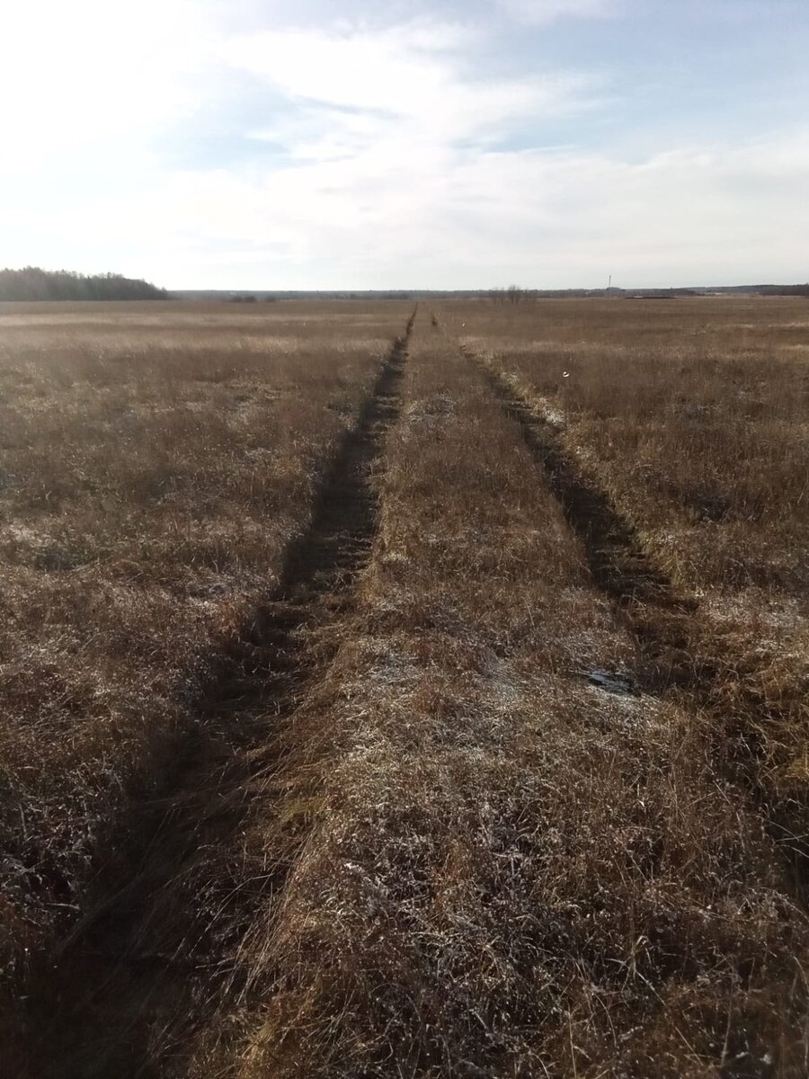 Подруга купила гектар земли за 200 тысяч: любопытная история и мысли про  проект «Мой гектар» | Стильные советы | Дзен