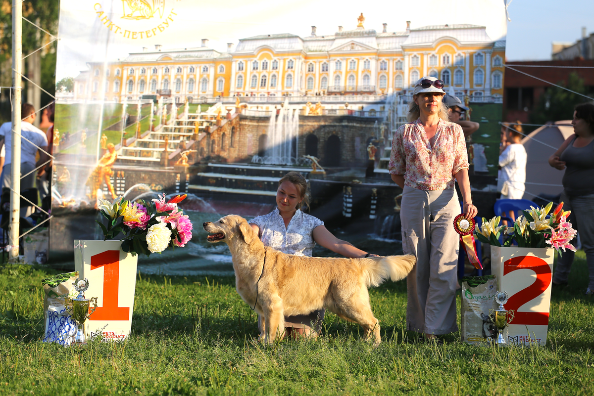 Мы с нашей Мегги на одной из последних её выставках. Мегги на фото 11,5 лет.