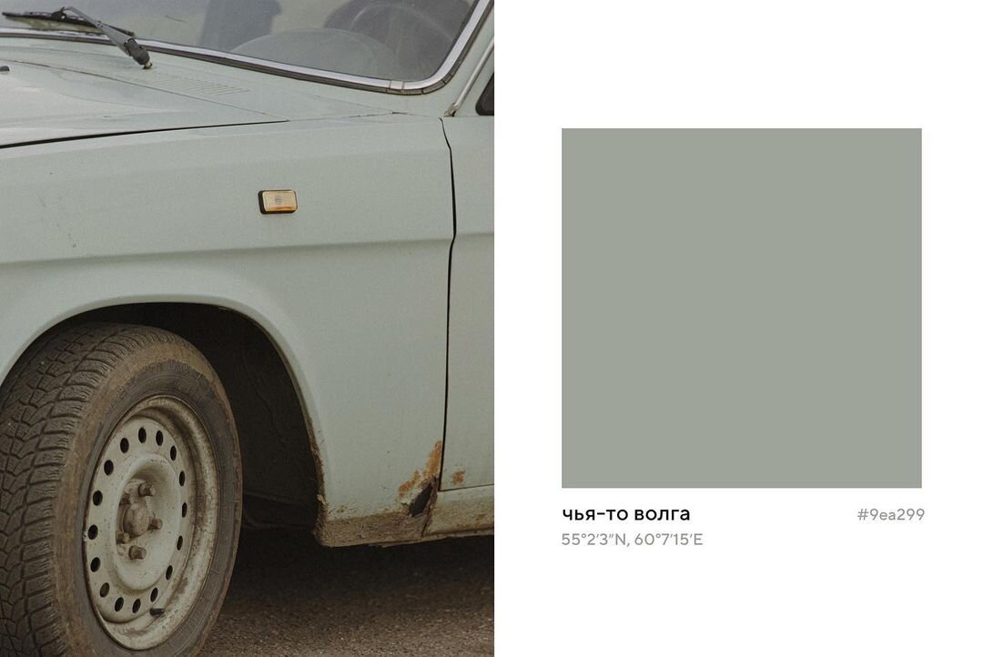 Фото: paulina.shulgina/Instagram