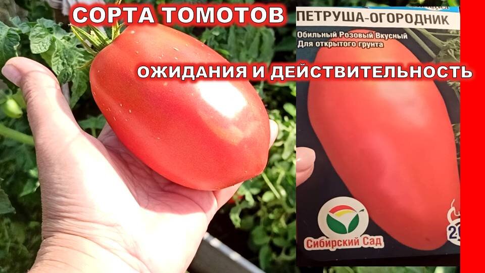 Нина К Дача Огород и не только