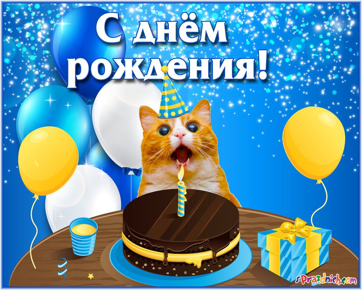 Прикольные картинки ко дню рождения
