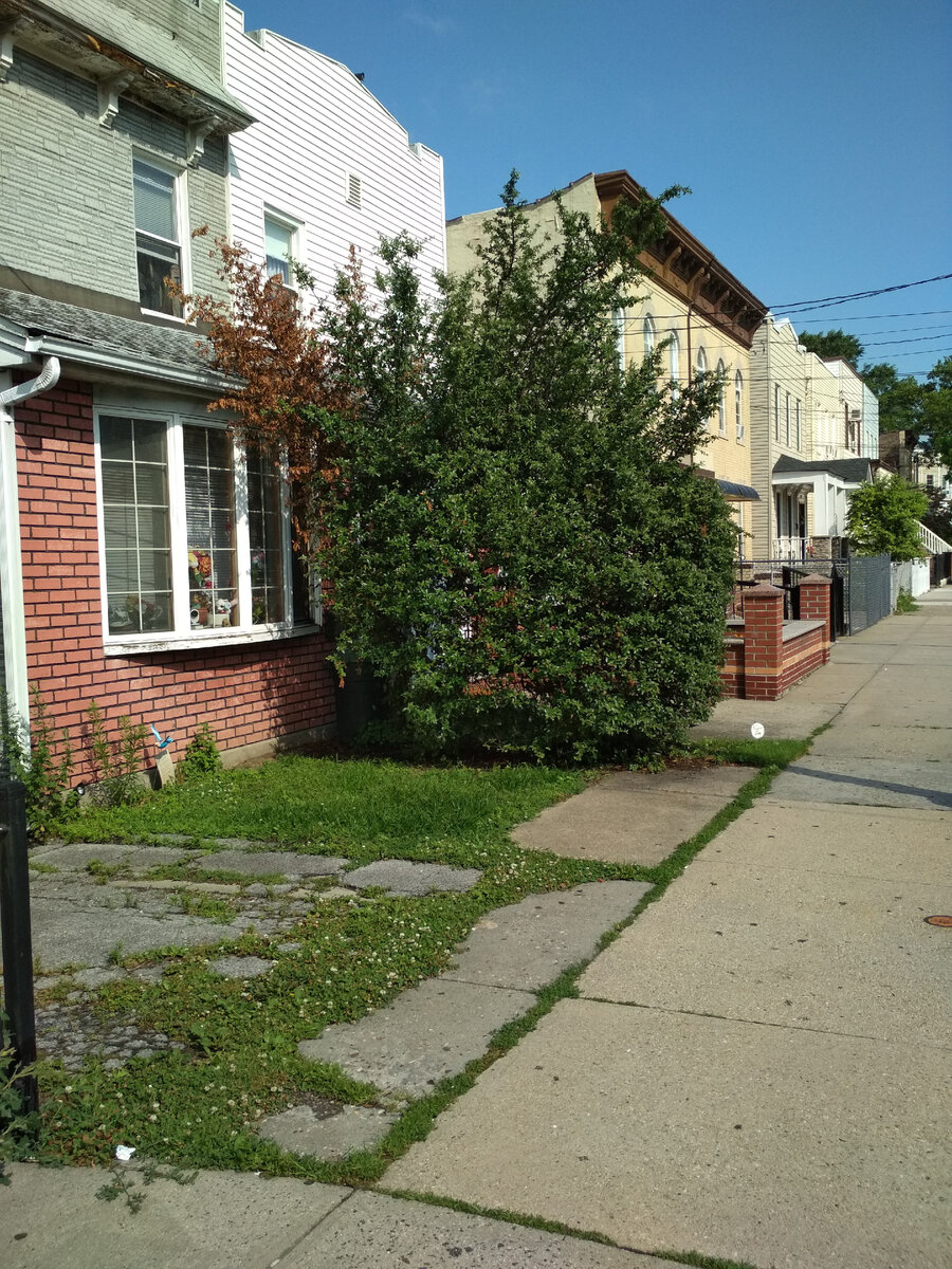 Улица на окраине Нью-Йорка. Фото автора 