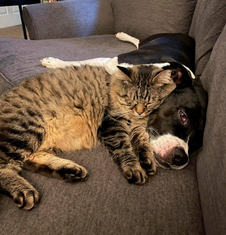 © Lil__Pebble / Reddit