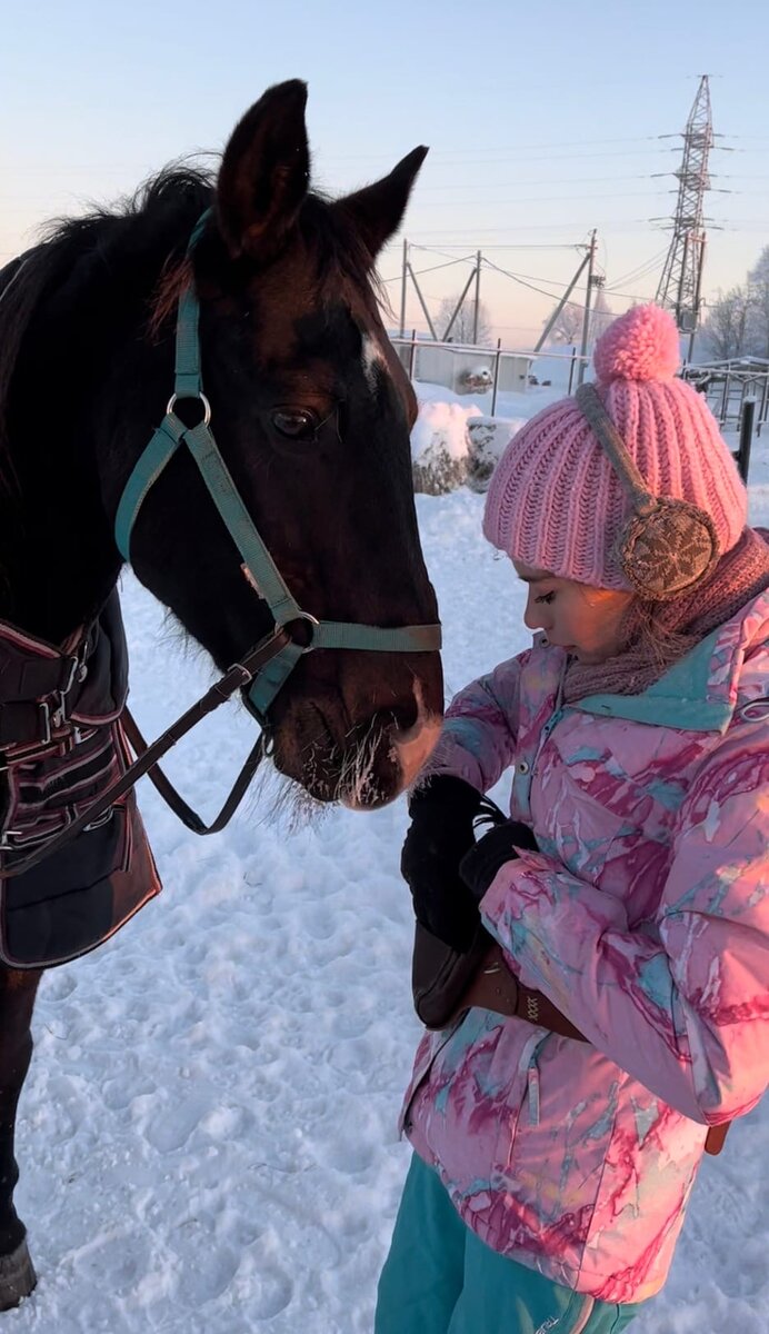 Домбай проверяет, чем будут угощать